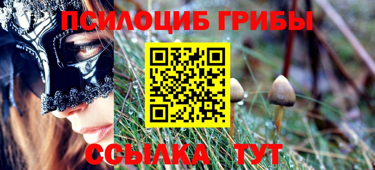 Галлюциногенные грибы Cubensis  Вход с VPN  Тельмана  Псилоцибиновые грибы ЛСД 